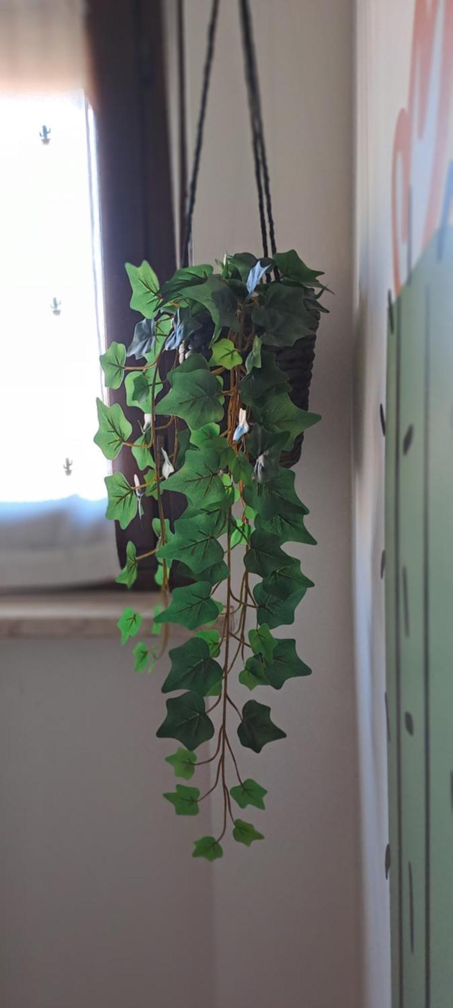 科莱尼奥La Mia Mansardina公寓 外观 照片